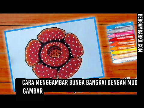 Cara Menggambar Bunga Bangkai dengan Mudah