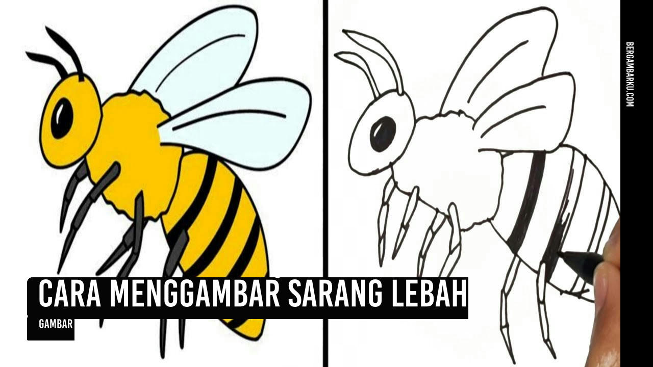Cara Menggambar Sarang Lebah