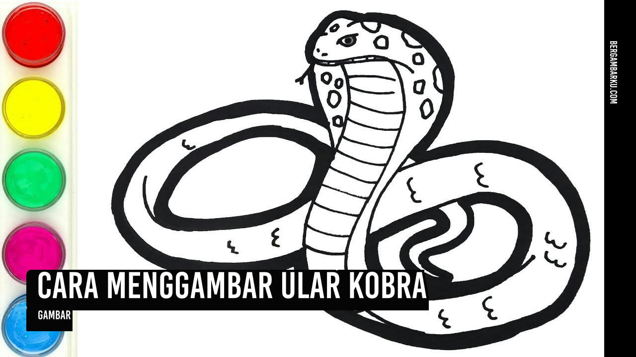 Cara Menggambar Ular Kobra